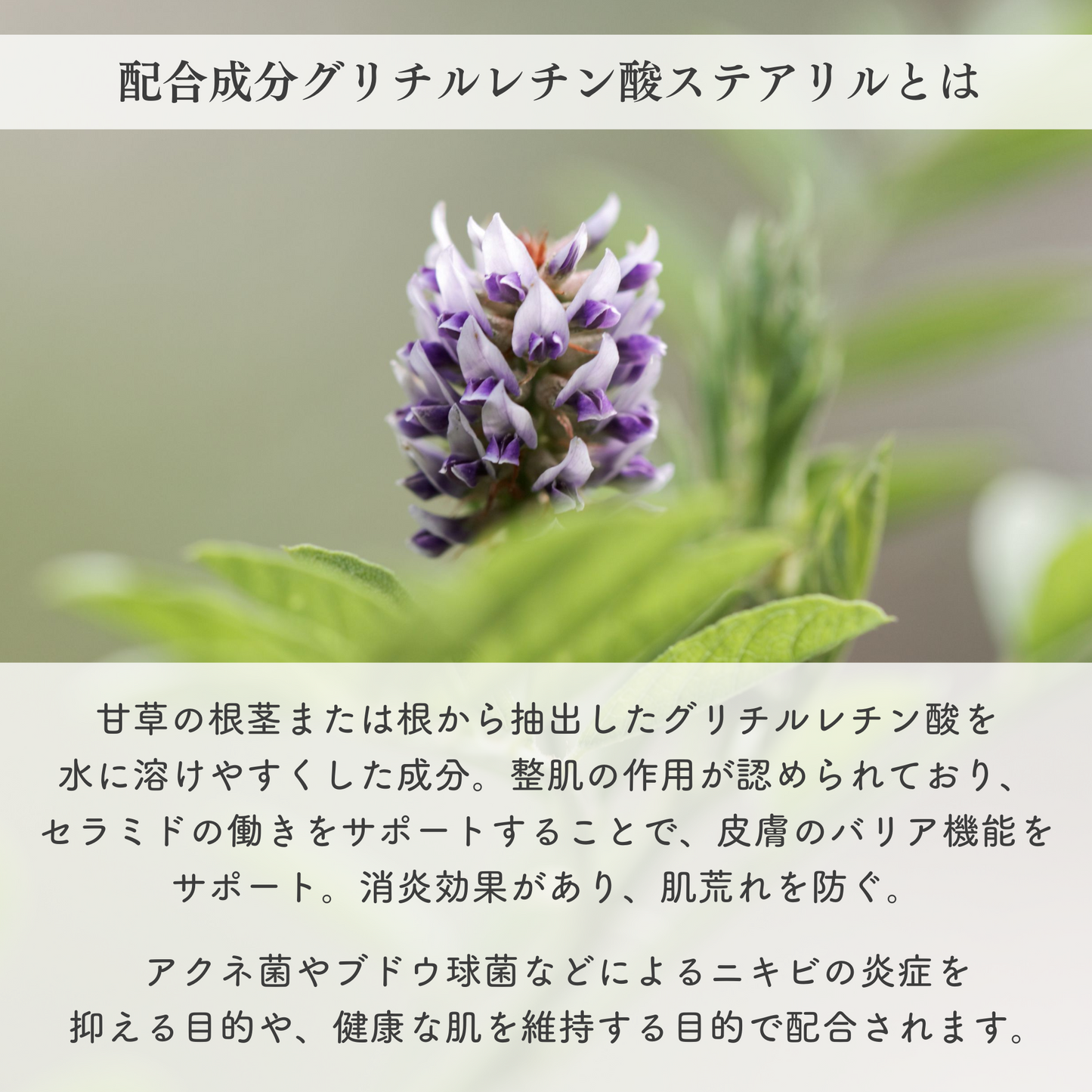 PROTON|Pe薬用全身クリーム(医薬部外品)