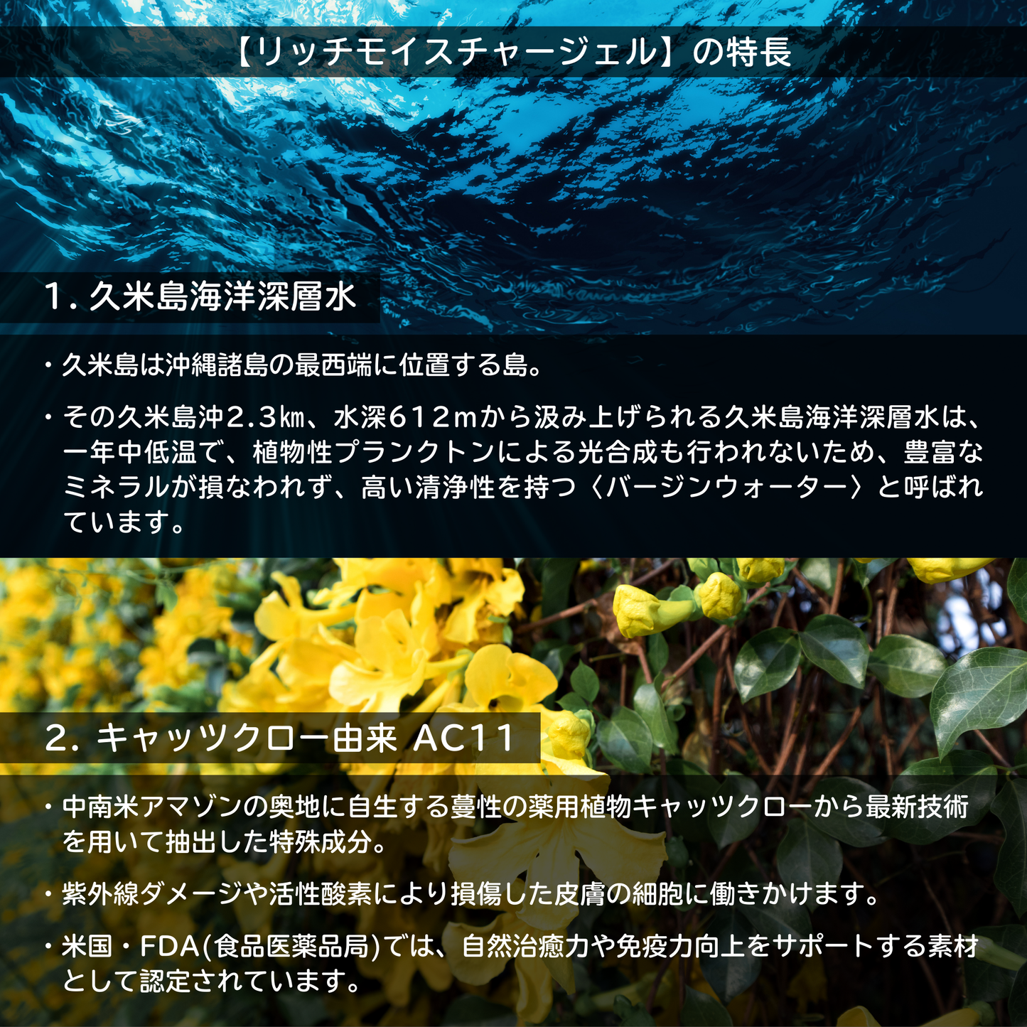 リッチモイスチャージェル