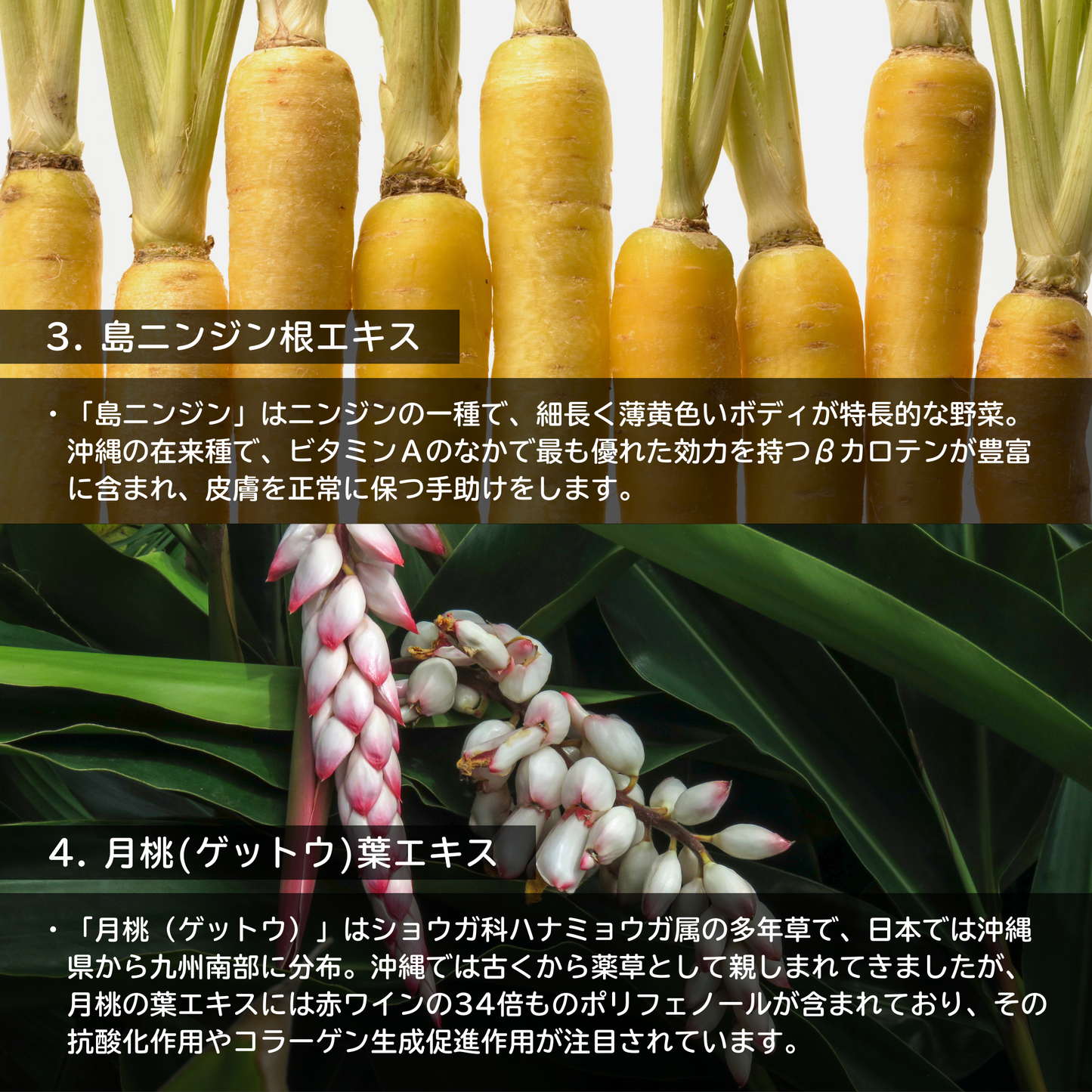 リッチモイスチャージェル
