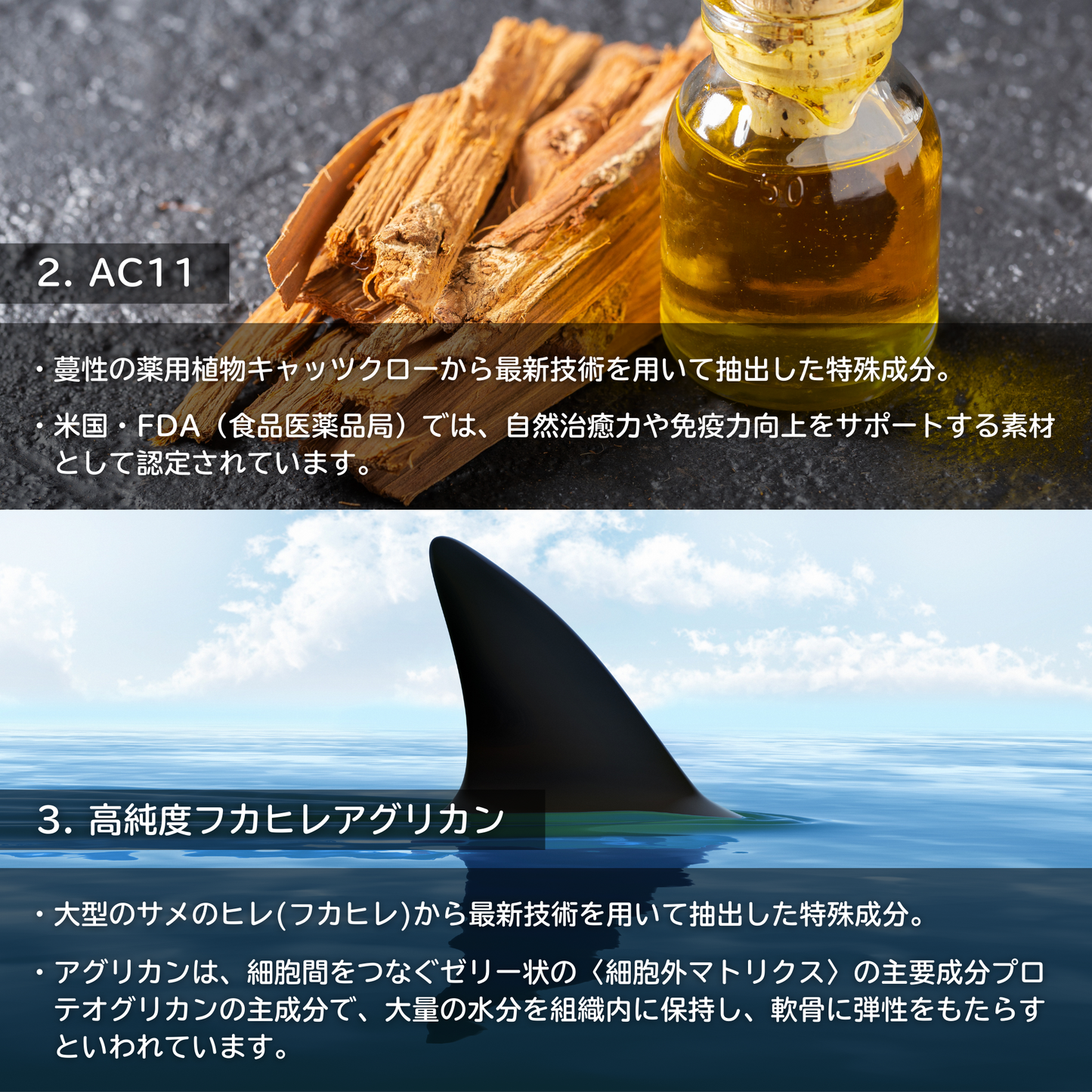創るAC11
