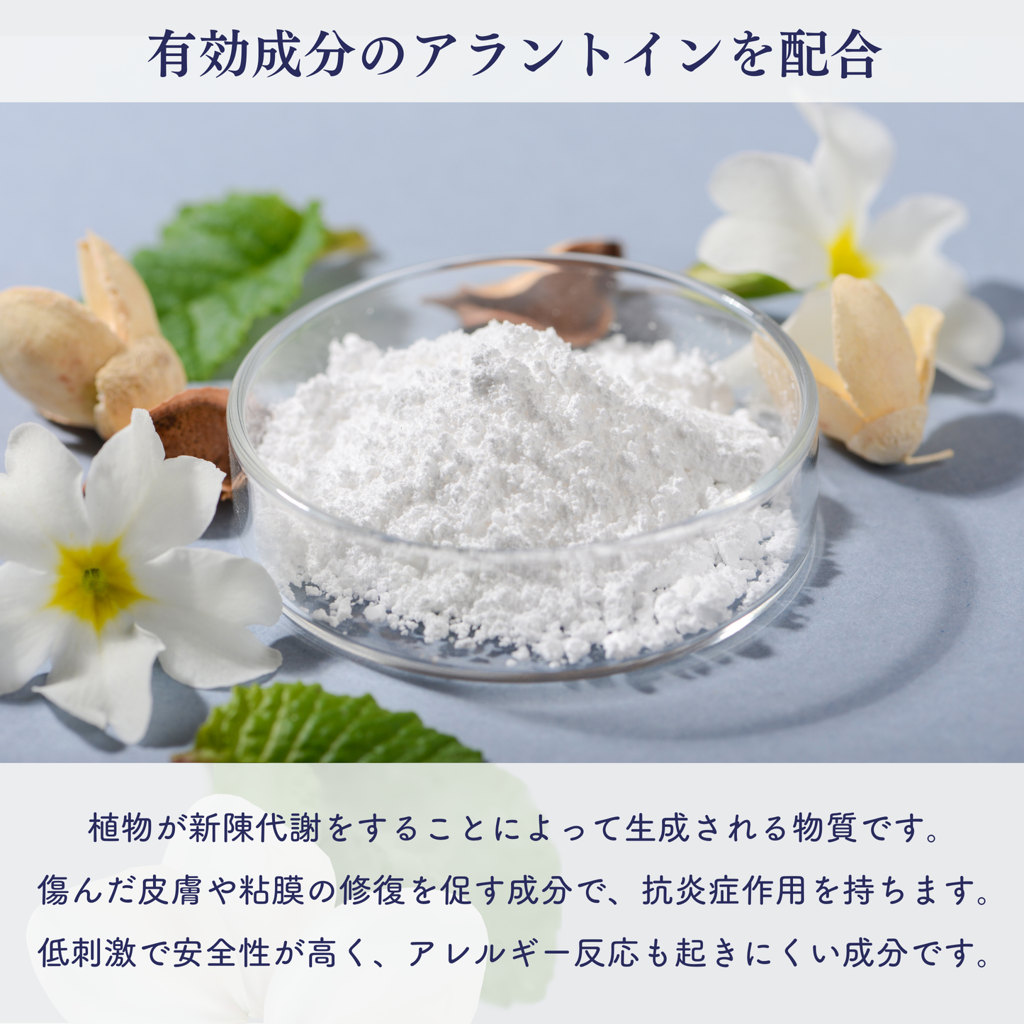 PROTON|Pe薬用全身ローション(医薬部外品)