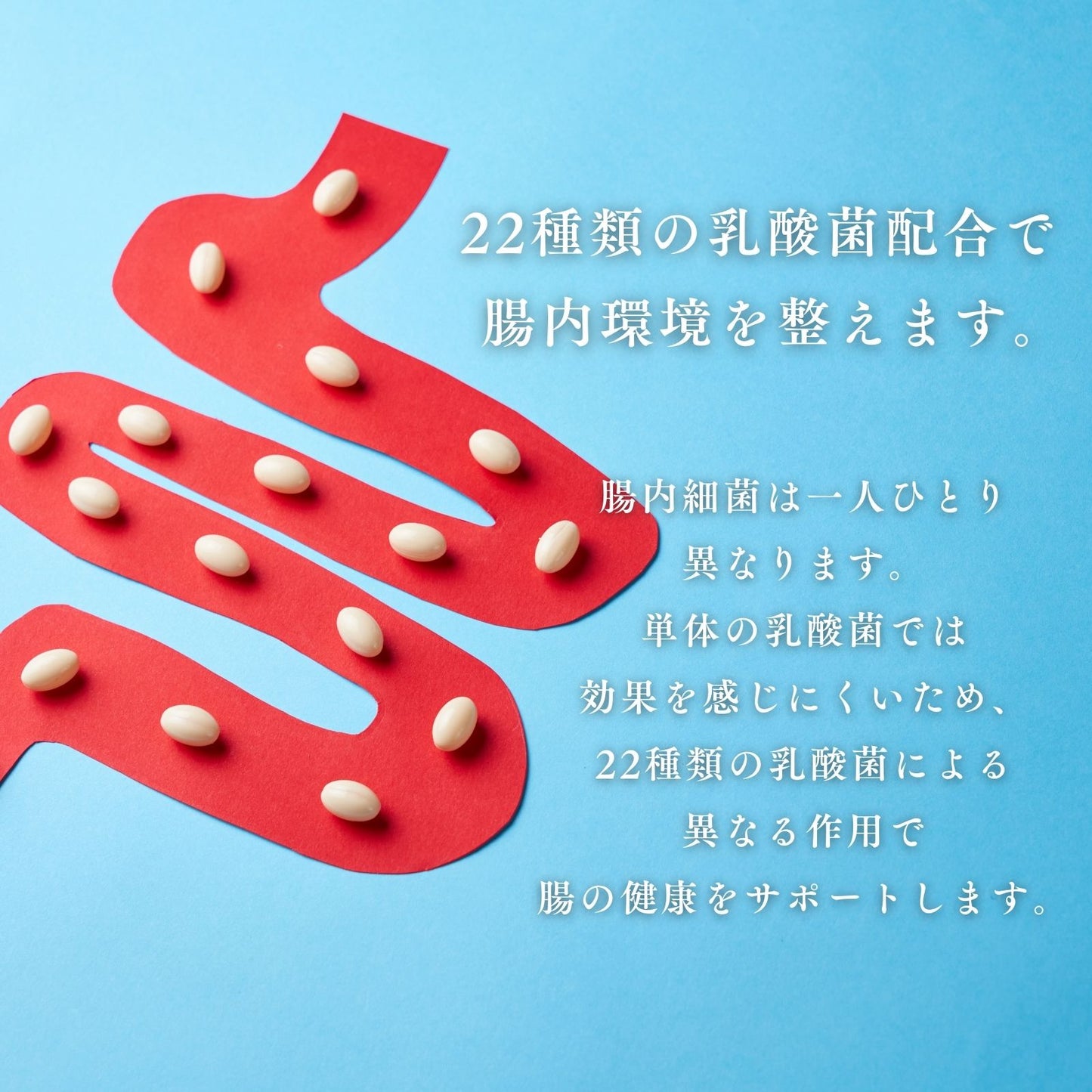 BEREAGE MAF AG-Ⅲ Supplement 歯髄幹細胞順化培養液含有サプリメント 内容量60粒