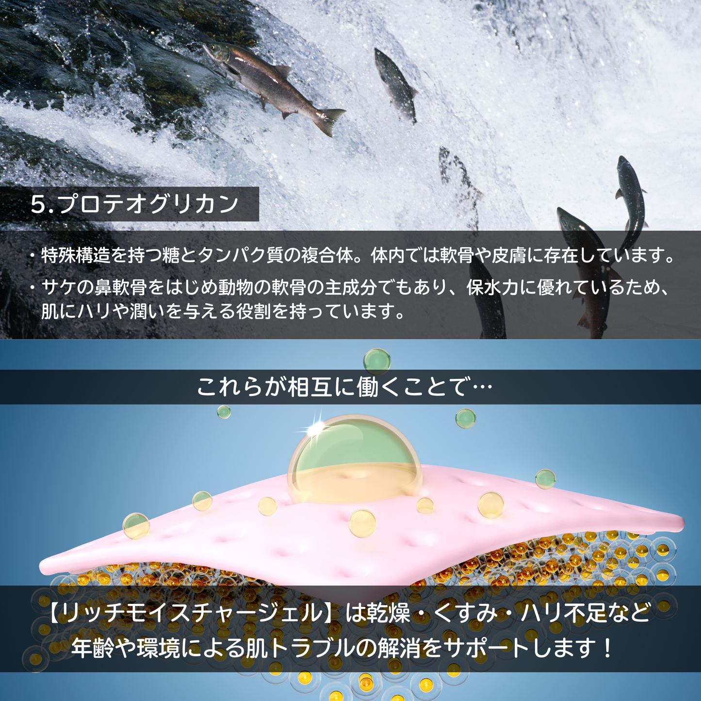 リッチモイスチャージェル