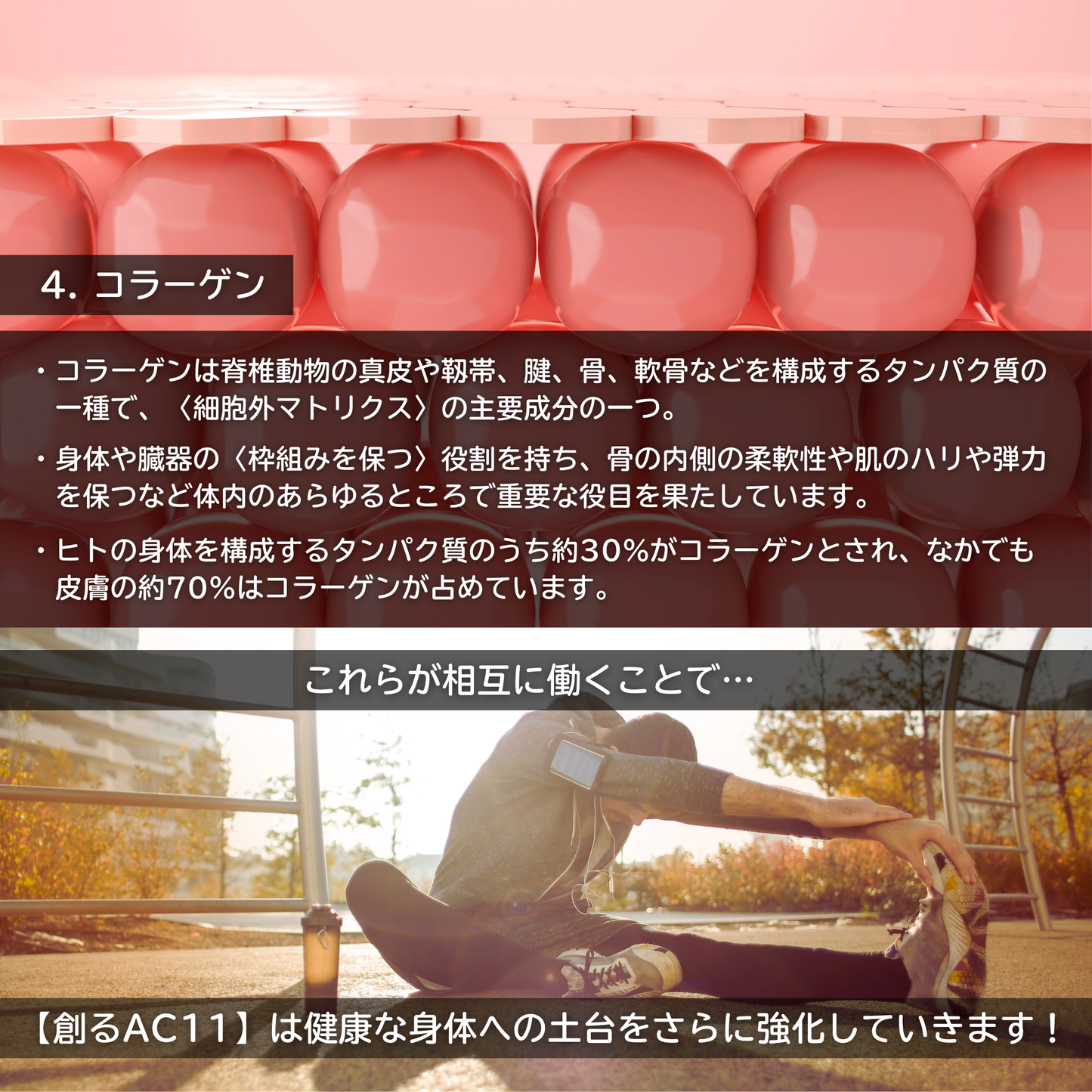 創るAC11