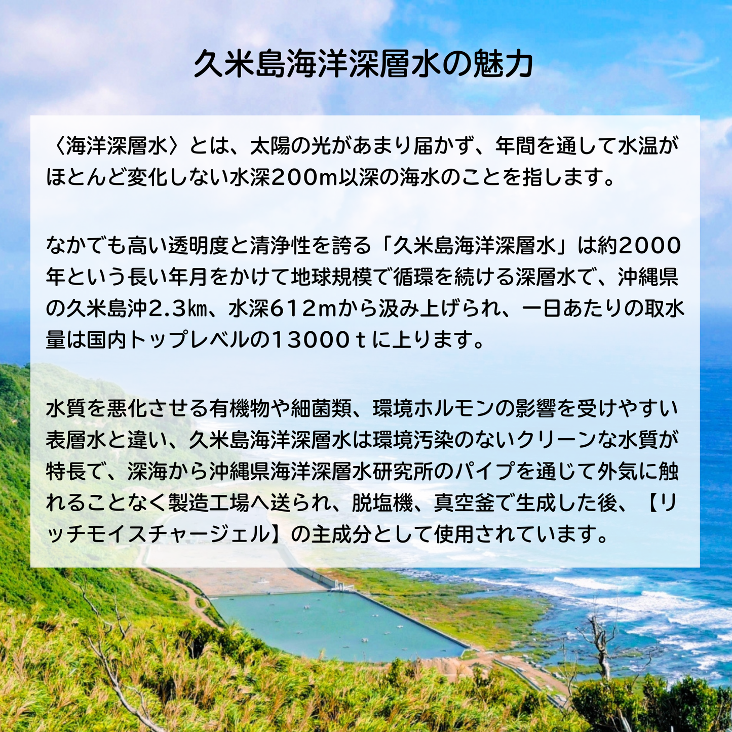 リッチモイスチャージェル