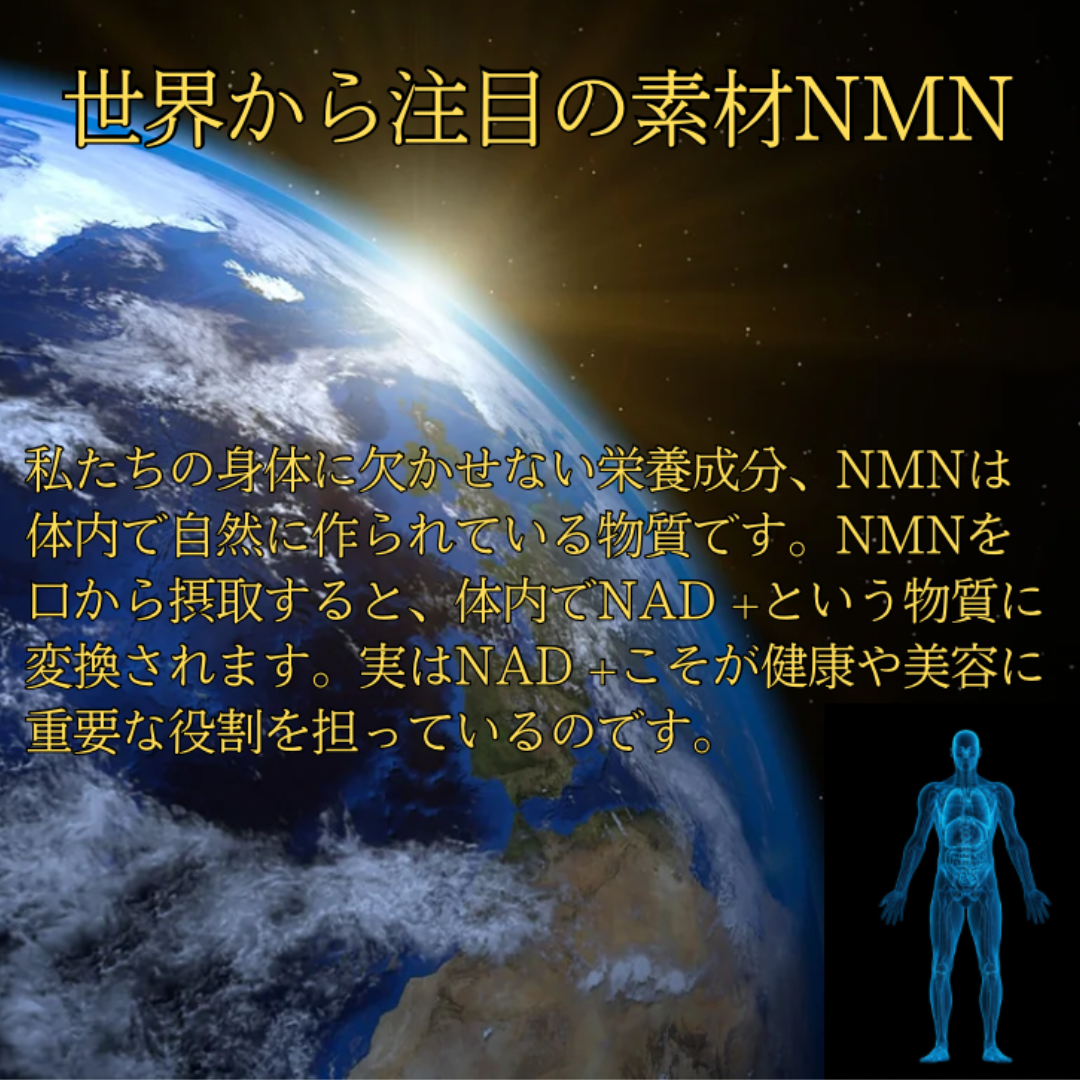 JHBL NMN 12000【じっくり体感】60粒 400mg