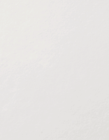ICDクレンジングパウダーウォッシュ