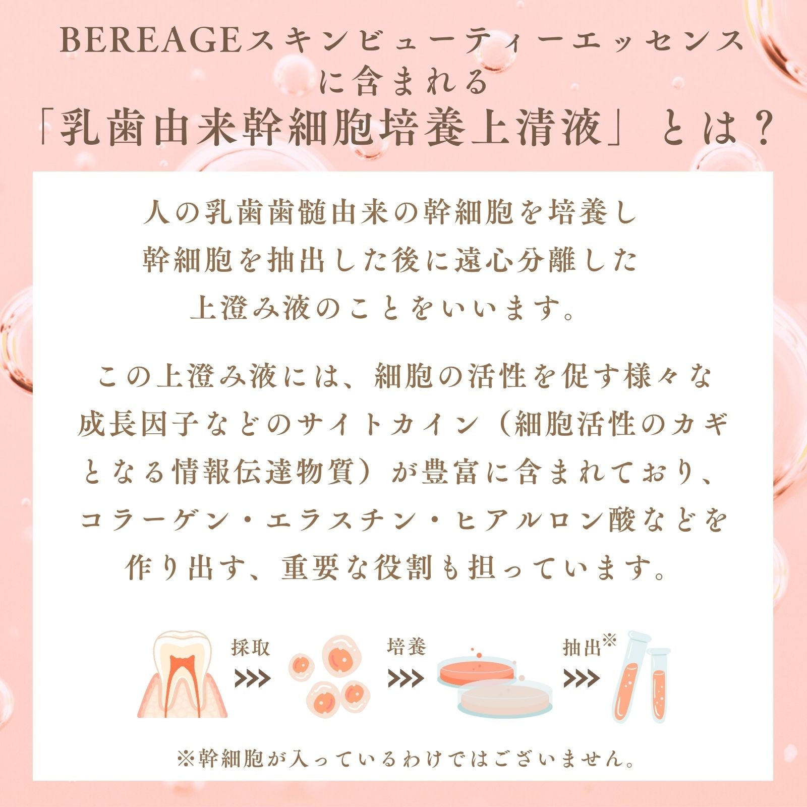 BEREAGE ベレアージュAG‐Ⅱフェイシャルエッセンス〈美容液〉30ml – exitpiko