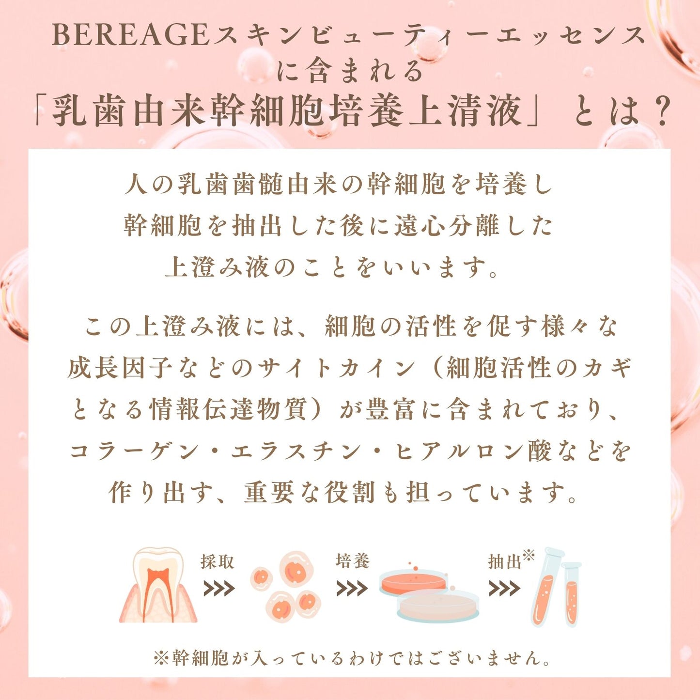 BEREAGE ベレアージュAG‐Ⅱフェイシャルエッセンス〈美容液〉30ml