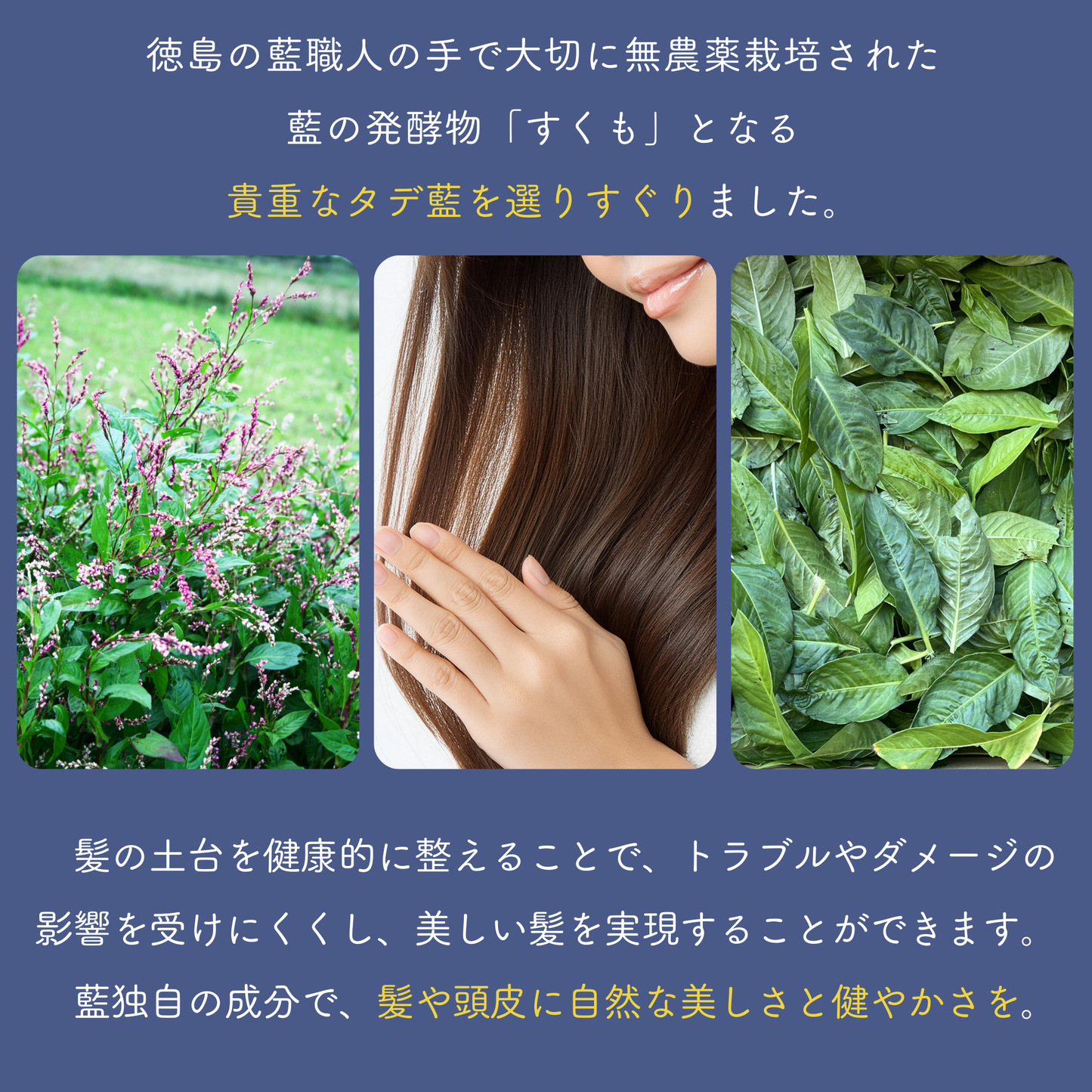 レイラアイ 藍Natural トリートメント モイスチャー 300g