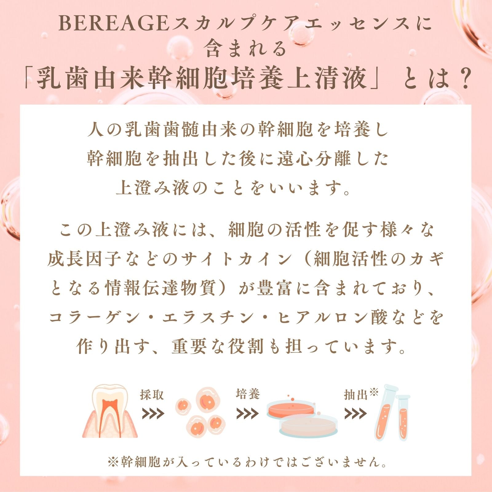 BEREAGE ベレアージュAG-Ⅱスカルプケアエッセンス〈スカルプ美容液〉 100ml – exitpiko